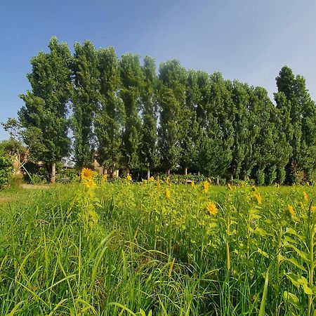 ピエトラサンタFattoria Il Giardoアパートメント エクステリア 写真