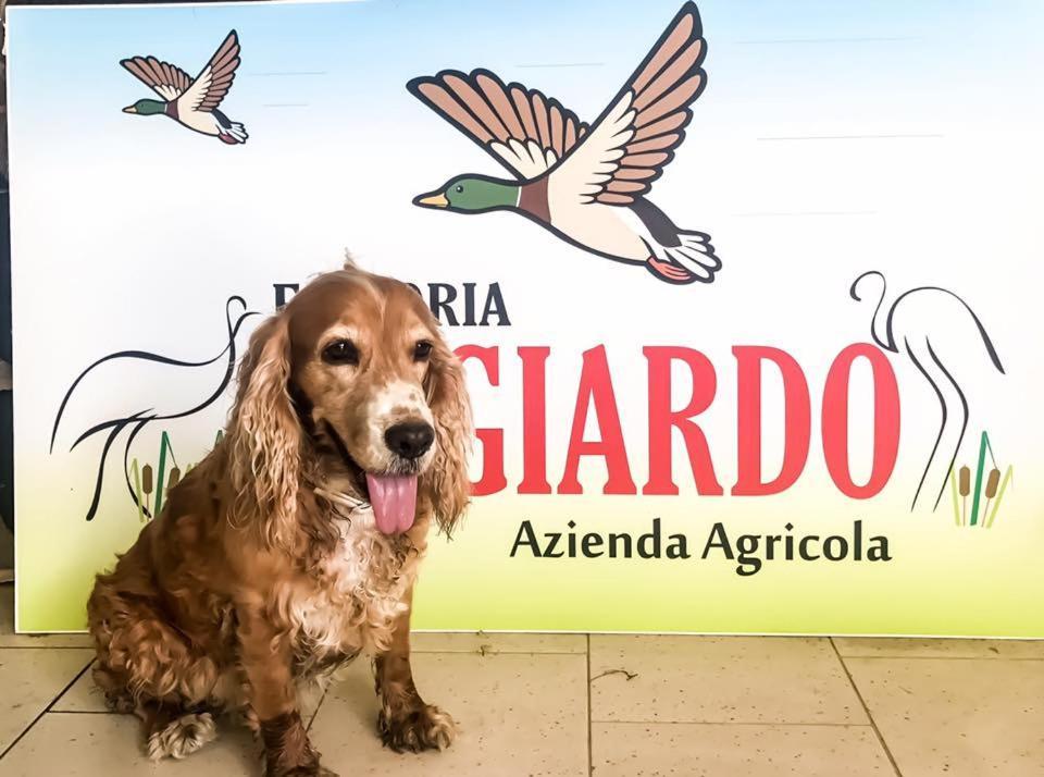 ピエトラサンタFattoria Il Giardoアパートメント エクステリア 写真