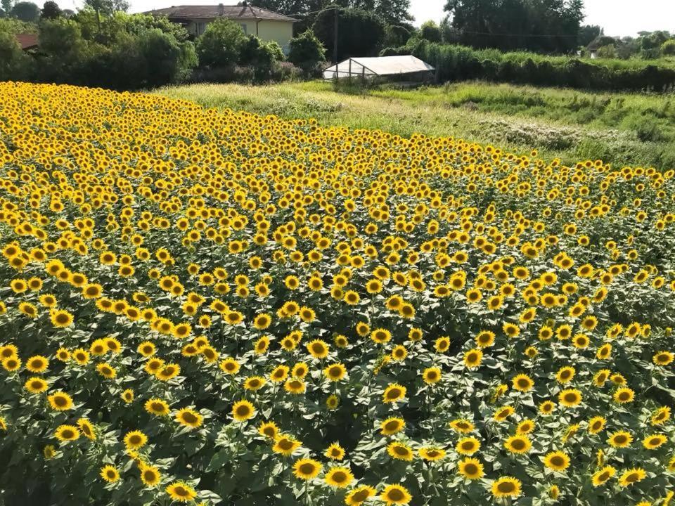 ピエトラサンタFattoria Il Giardoアパートメント エクステリア 写真