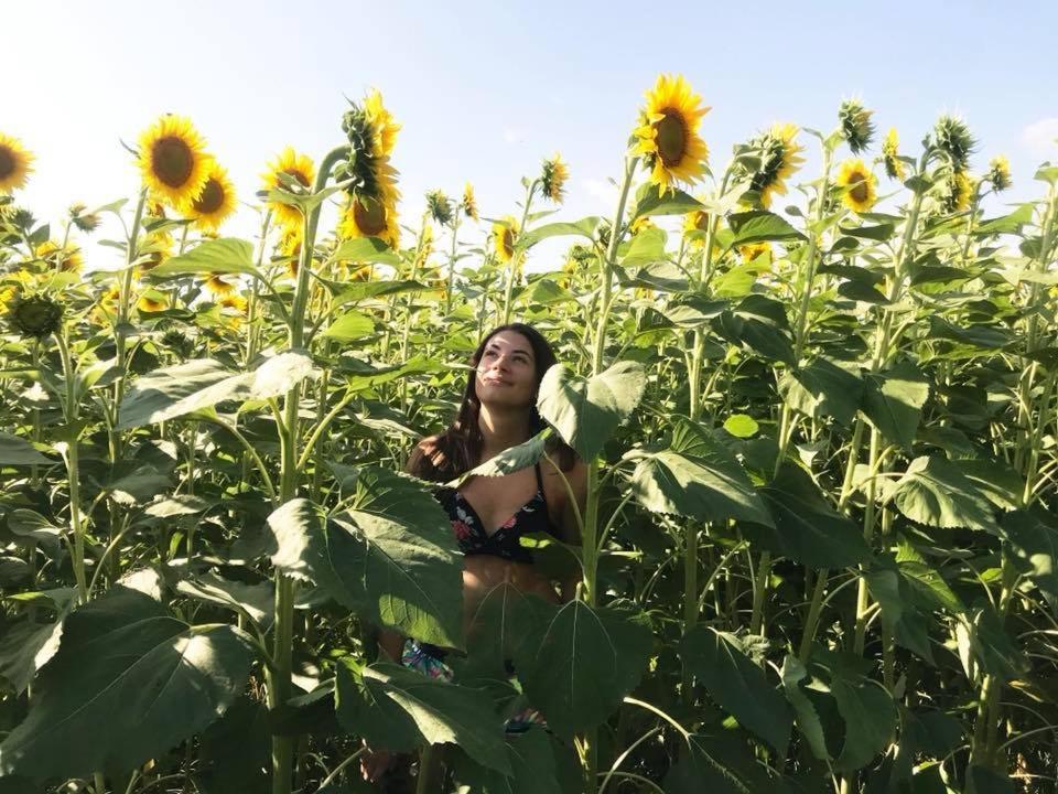 ピエトラサンタFattoria Il Giardoアパートメント エクステリア 写真