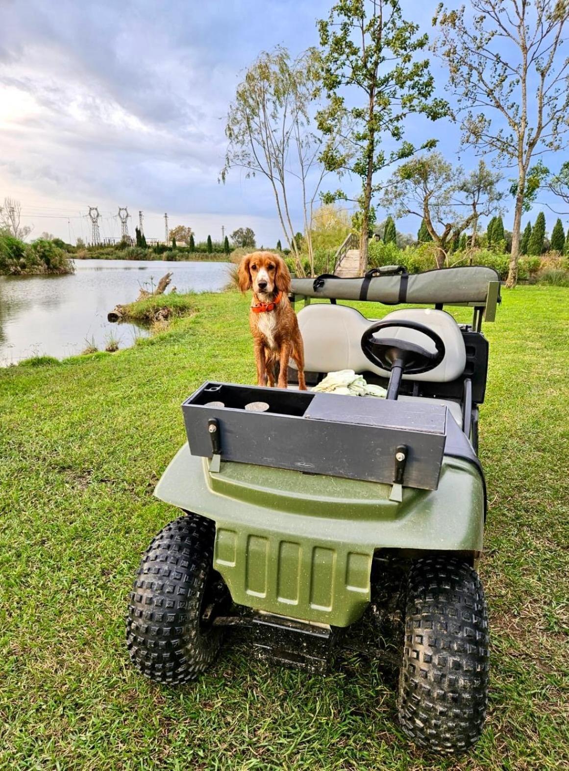 ピエトラサンタFattoria Il Giardoアパートメント エクステリア 写真