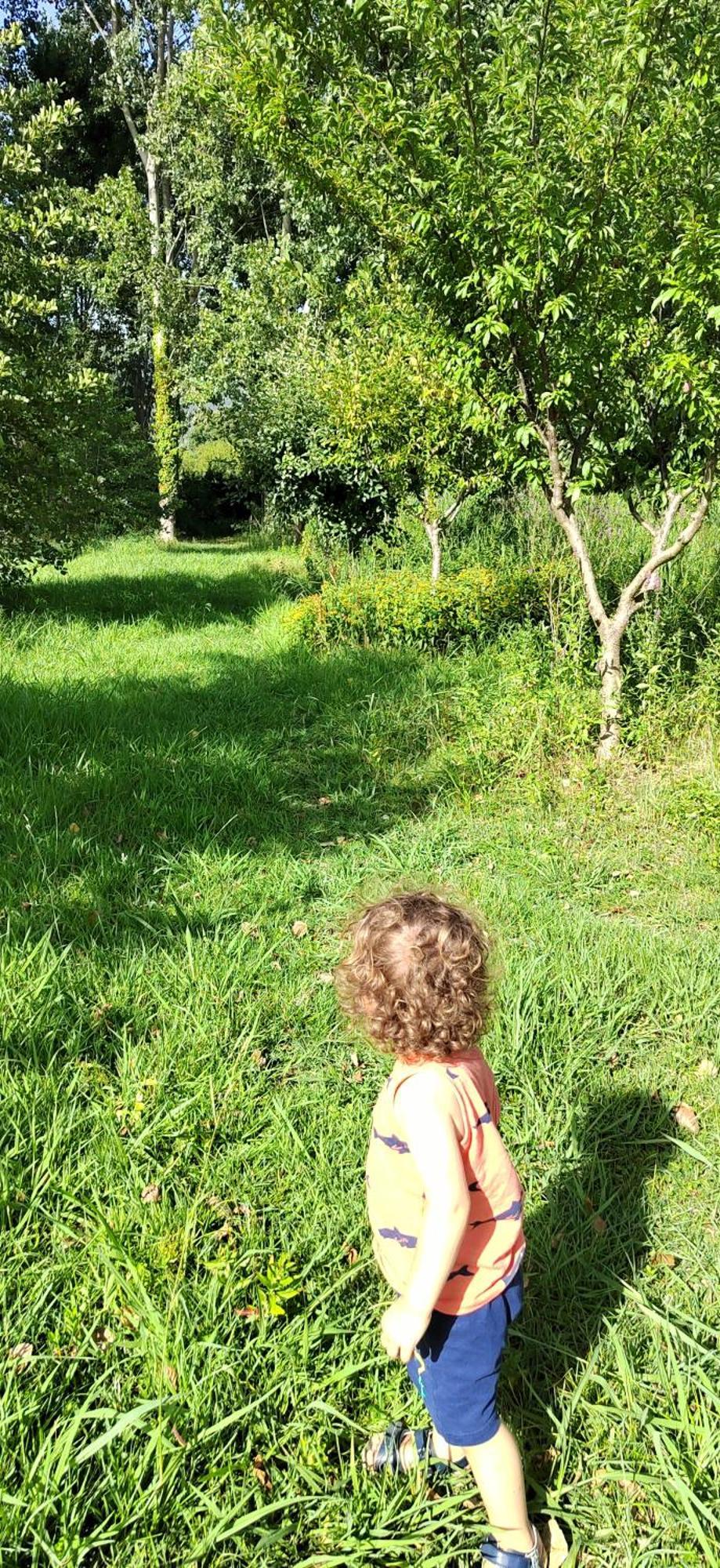 ピエトラサンタFattoria Il Giardoアパートメント エクステリア 写真