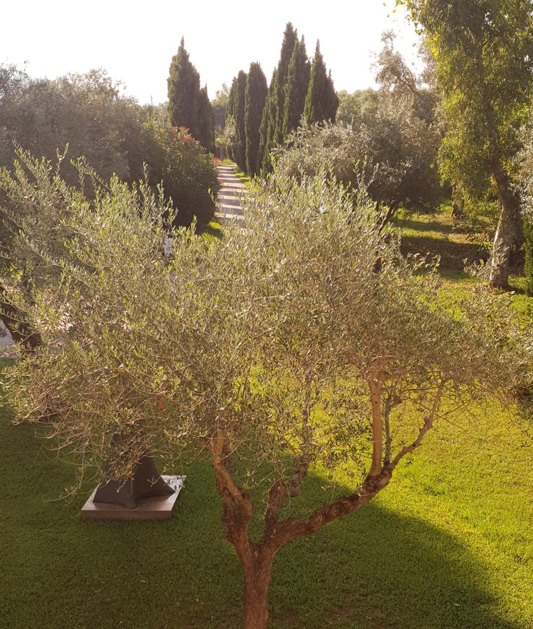 ピエトラサンタFattoria Il Giardoアパートメント エクステリア 写真